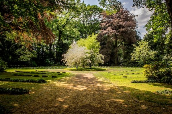 Bienenfreundlicher Garten: Ein Garten, der Lebensraum für Bestäuber schafft